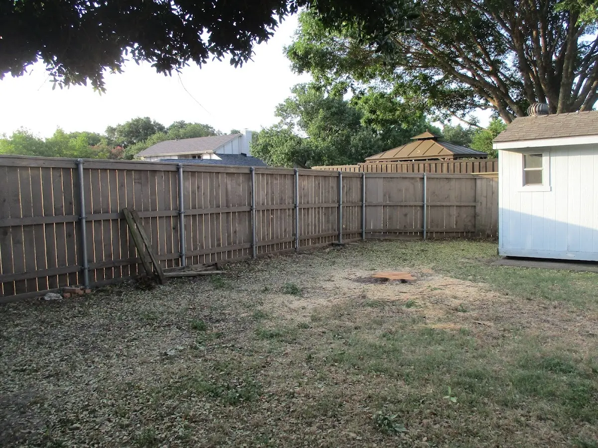 Cleared yard after professional tree removal in Bluemont
