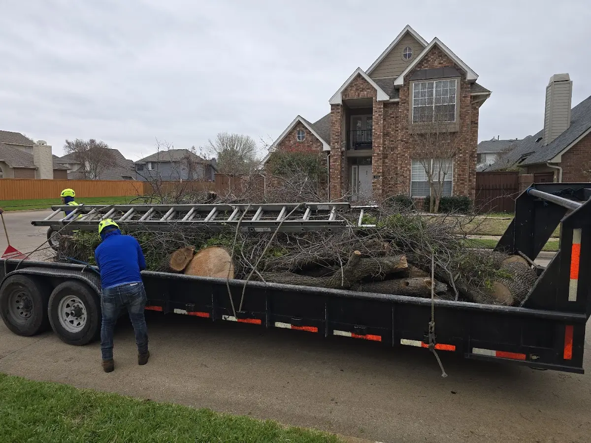 Expert Tree Removal with proper safety equipment in Bluemont